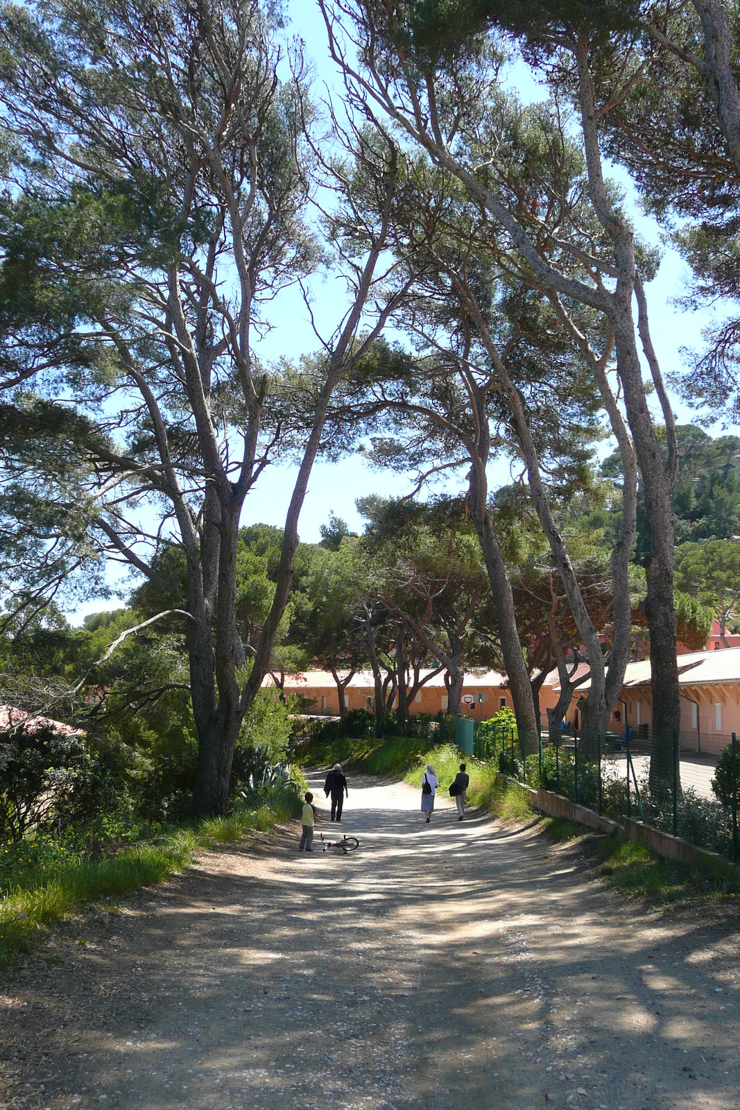 รูปถ่าย ฝรั่งเศส(France) เกาะปอร์เกอรอล(Porquerolles Island) แหลมแบร์ลีเยอ(Bearlieu Point) 2008-05 9