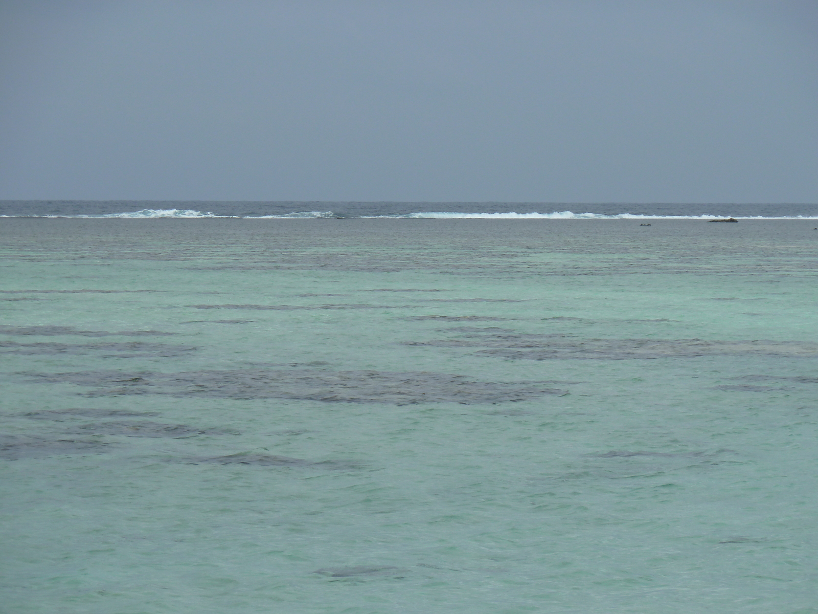 รูปถ่าย ฟิจิ(Fiji) ถนนจากนาดีไปนาตาโดลา(Nadi to Natadola road) 2010-05 54