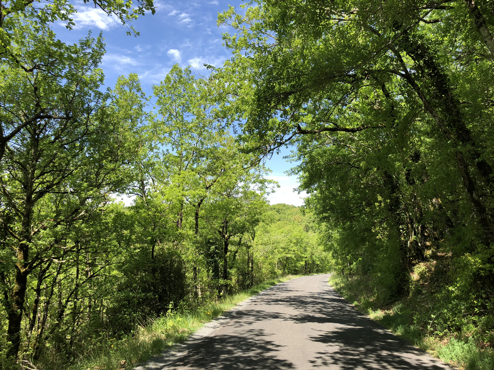 รูปถ่าย ฝรั่งเศส(France) ฟลัวรัก(Floirac) 2018-04 127