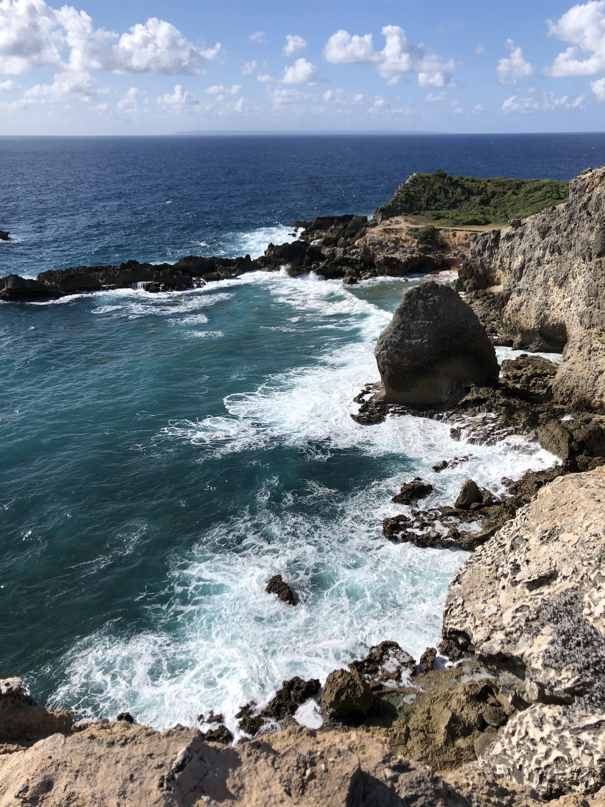 รูปถ่าย กวาเดอลูป(Guadeloupe) แหลมคาสเซิลพอยต์(Castle Point) 2021-02 82