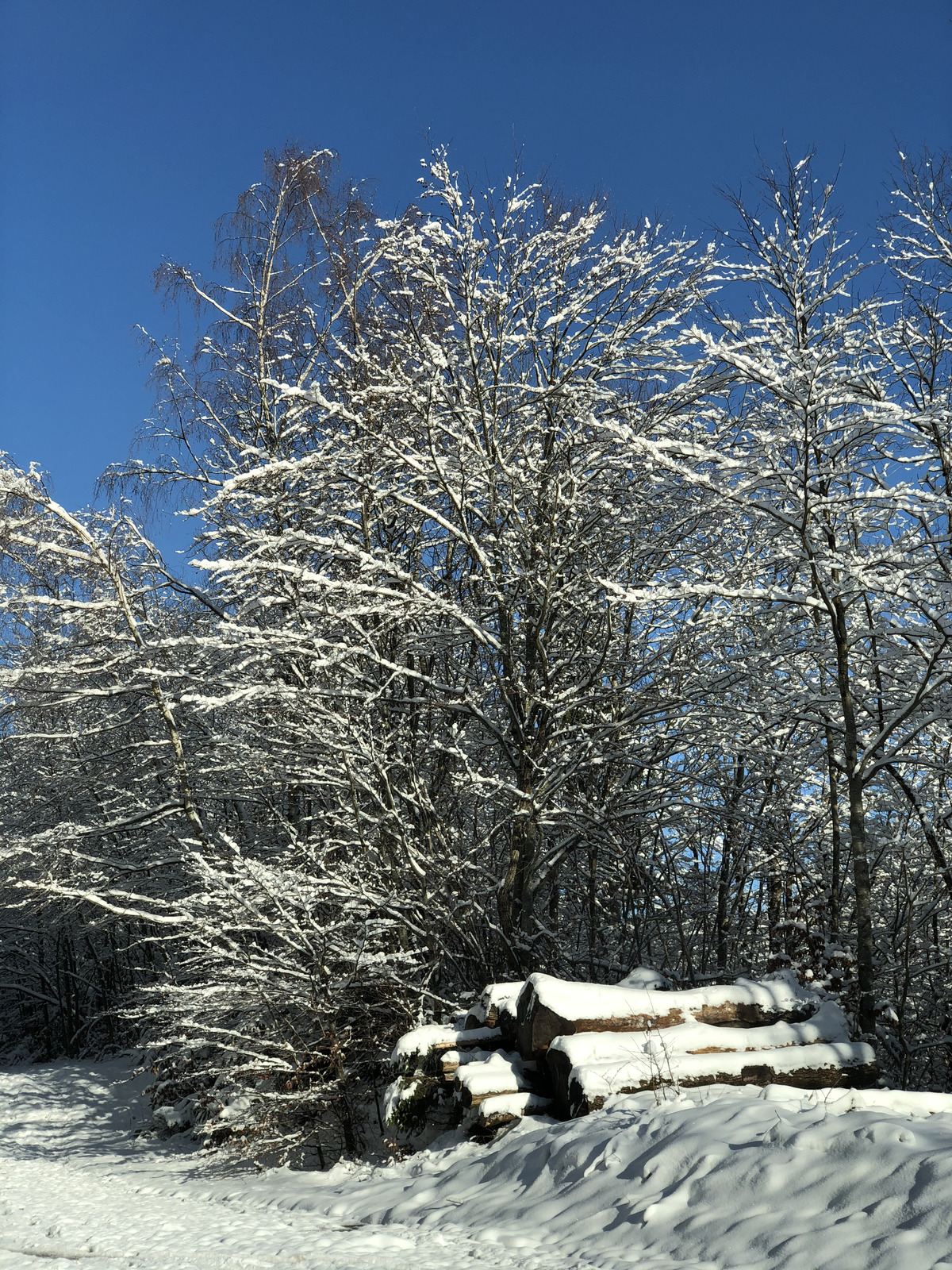 รูปถ่าย สวิสเซอร์แลนด์(Switzerland) ครองส์-มงตานา(Crans Montana) 2020-12 38