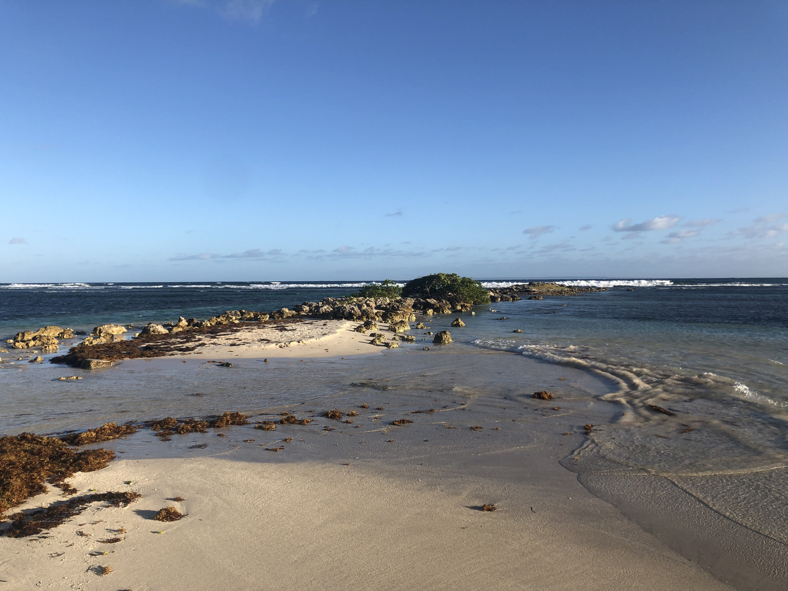 รูปถ่าย กวาเดอลูป(Guadeloupe) หาดลาการาแวล(La Caravelle Beach) 2021-02 162