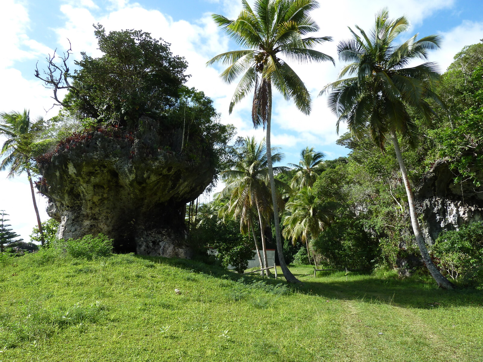 รูปถ่าย นิวแคลิโดเนีย(New Caledonia) เกาะลีฟู(Lifou) โยซิป(Josip) 2010-05 5
