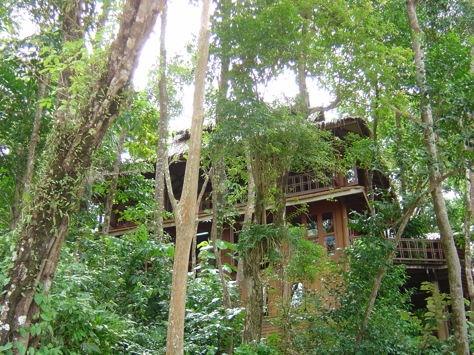 รูปถ่าย ไทย(Thailand) เขาหลัก(Khao Lak) โรงแรมสิมิลานา(Similana Hotel) 2005-12 1