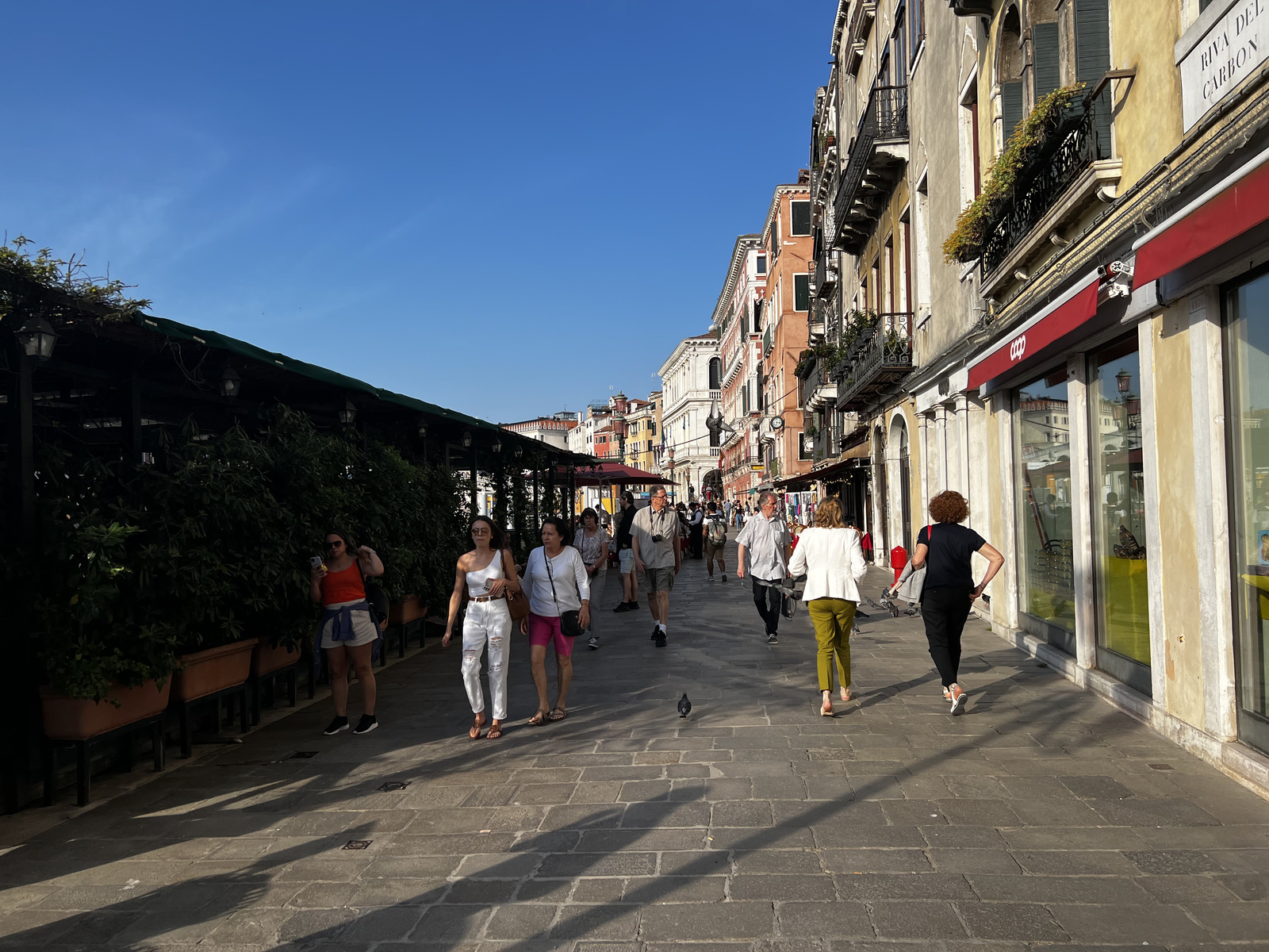 รูปถ่าย อิตาลี(Italy) เวนีส(Venice) 2022-05 267