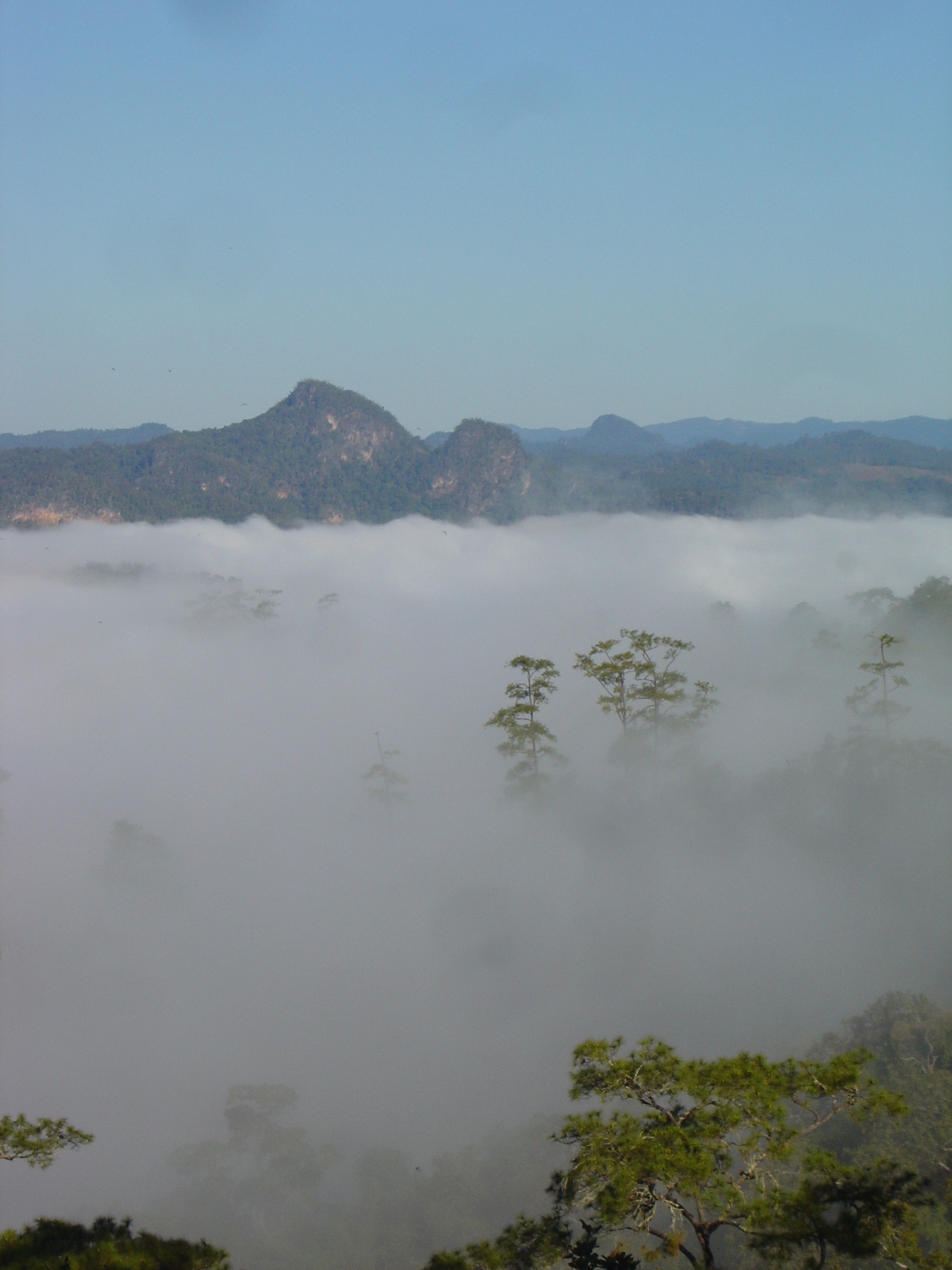 รูปถ่าย ไทย(Thailand) ปางมะผ้า(Pang Mapha) 2005-12 202