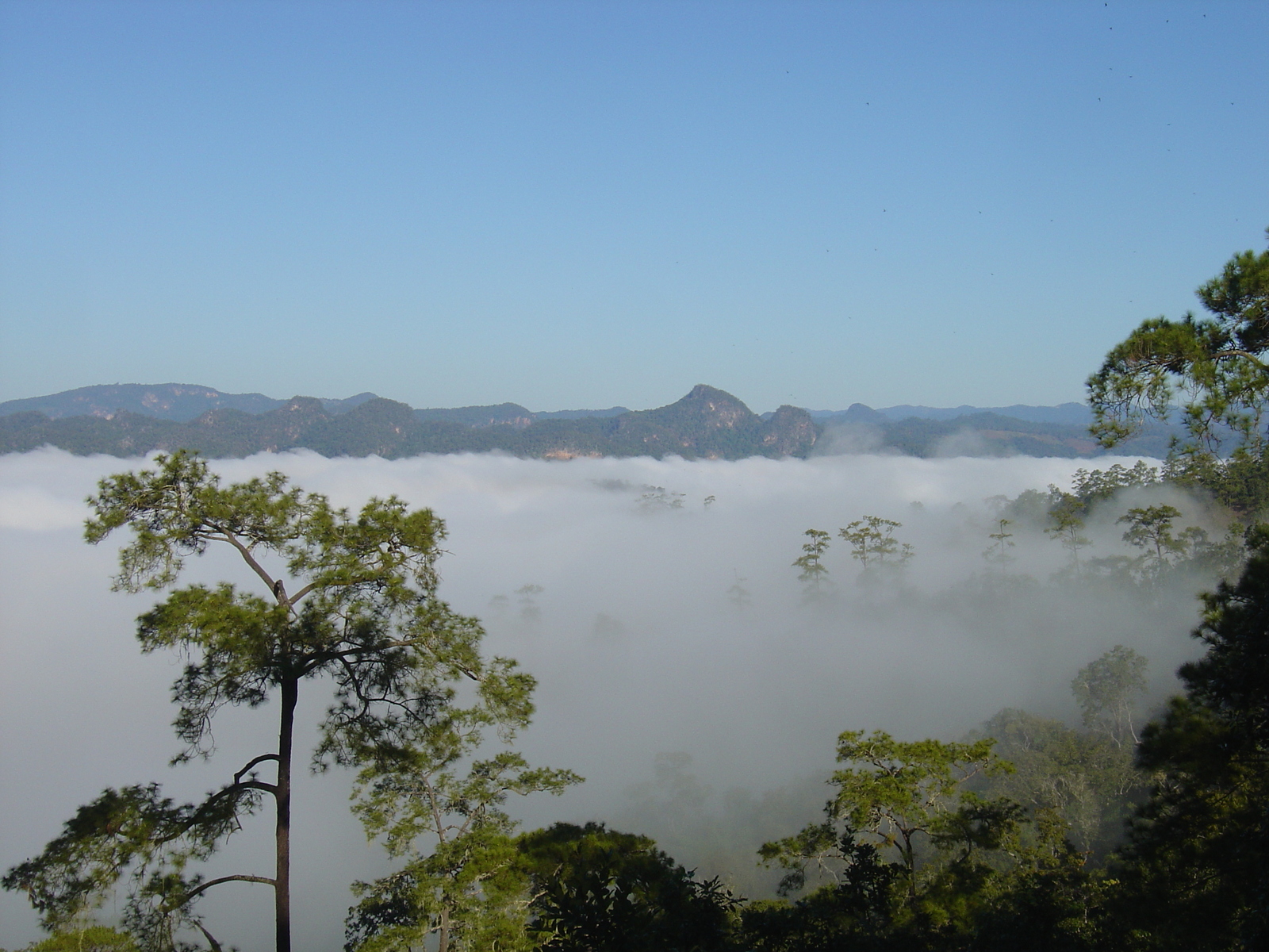 รูปถ่าย ไทย(Thailand) ปางมะผ้า(Pang Mapha) 2005-12 205