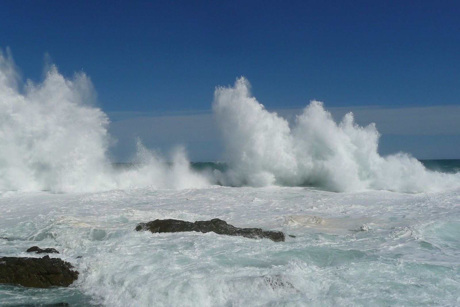 รูปถ่าย แอฟริกาใต้(South Africa) อุทยานแห่งชาติซิตซิคัมมา(Tsitsikamma National Park) 2008-09 96