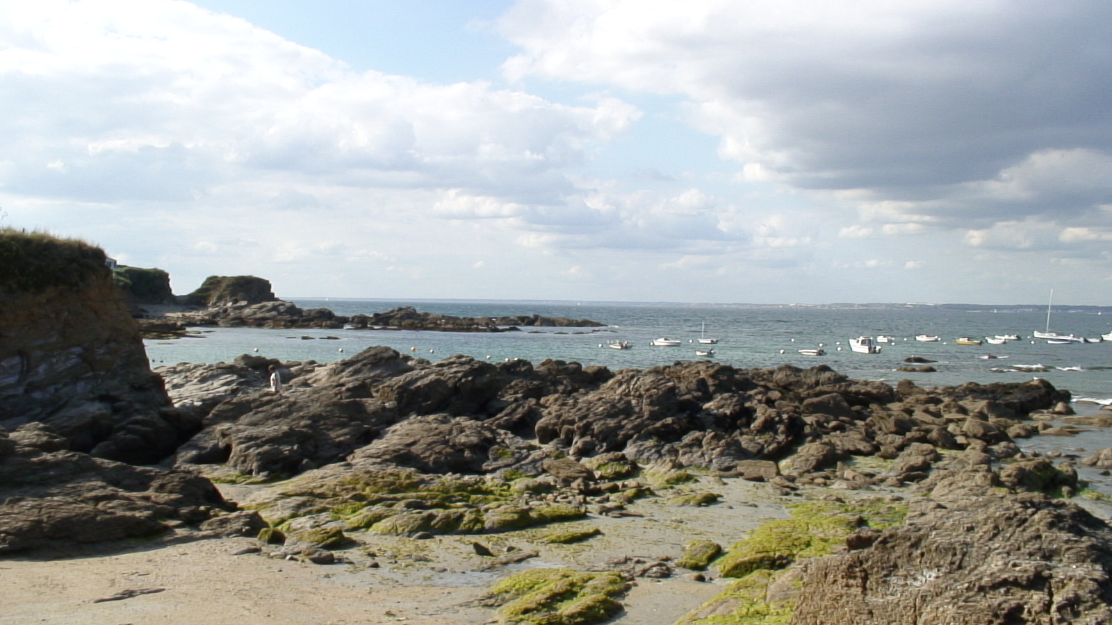รูปถ่าย ฝรั่งเศส(France) กวัว(Groix) 2005-08 9