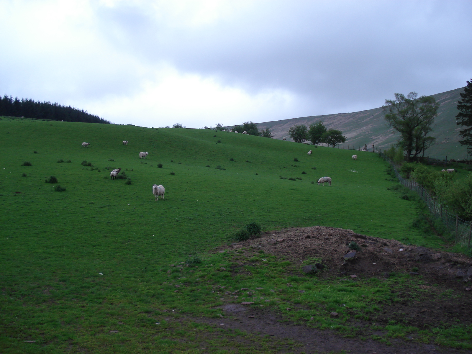 รูปถ่าย อังกฤษ(United Kingdom) อุทยานแห่งชาติเบรคอนบีคอนส์(Brecon Beacons National Park) 2006-05 100