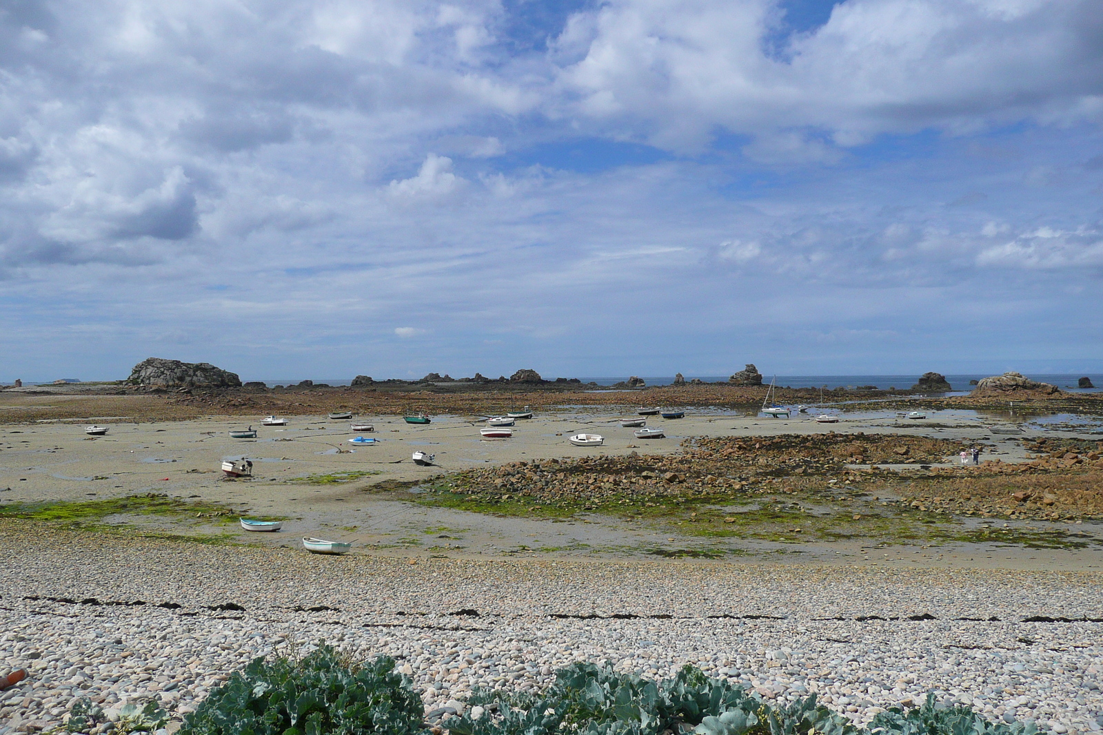 รูปถ่าย ฝรั่งเศส(France) ฟรูเกรสคอง(Plougrescant) 2007-08 70