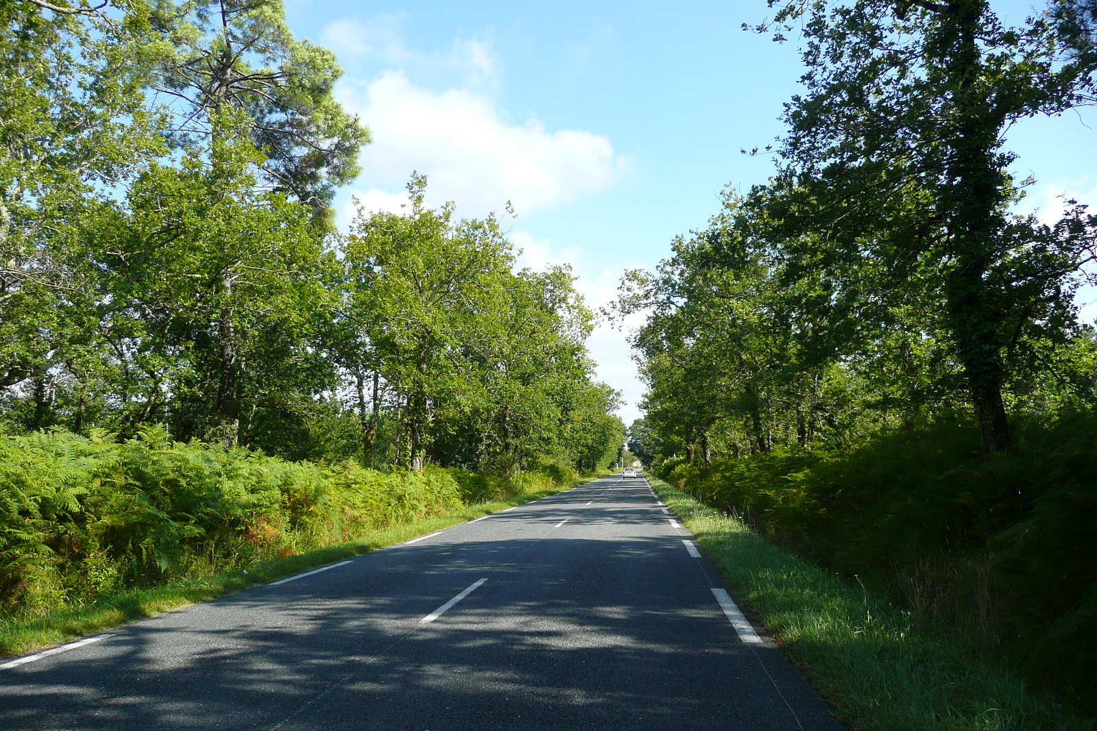 รูปถ่าย ฝรั่งเศส(France) ถนนริมทะเลสาบฌีรงด์(Gironde lakes road) 2007-08 0