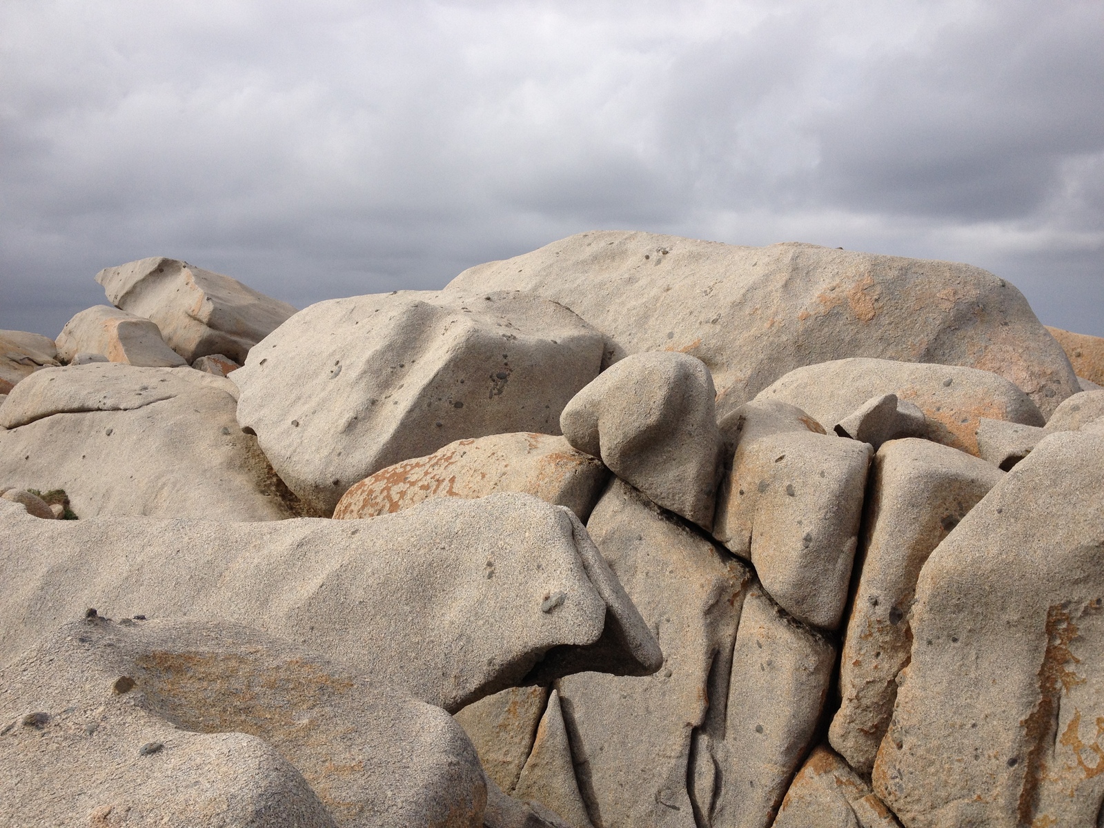 รูปถ่าย ฝรั่งเศส(France) คอร์สิคา(Corsica) หมู่เกาะลาเวซซี(Lavezzi Islands) 2012-09 67
