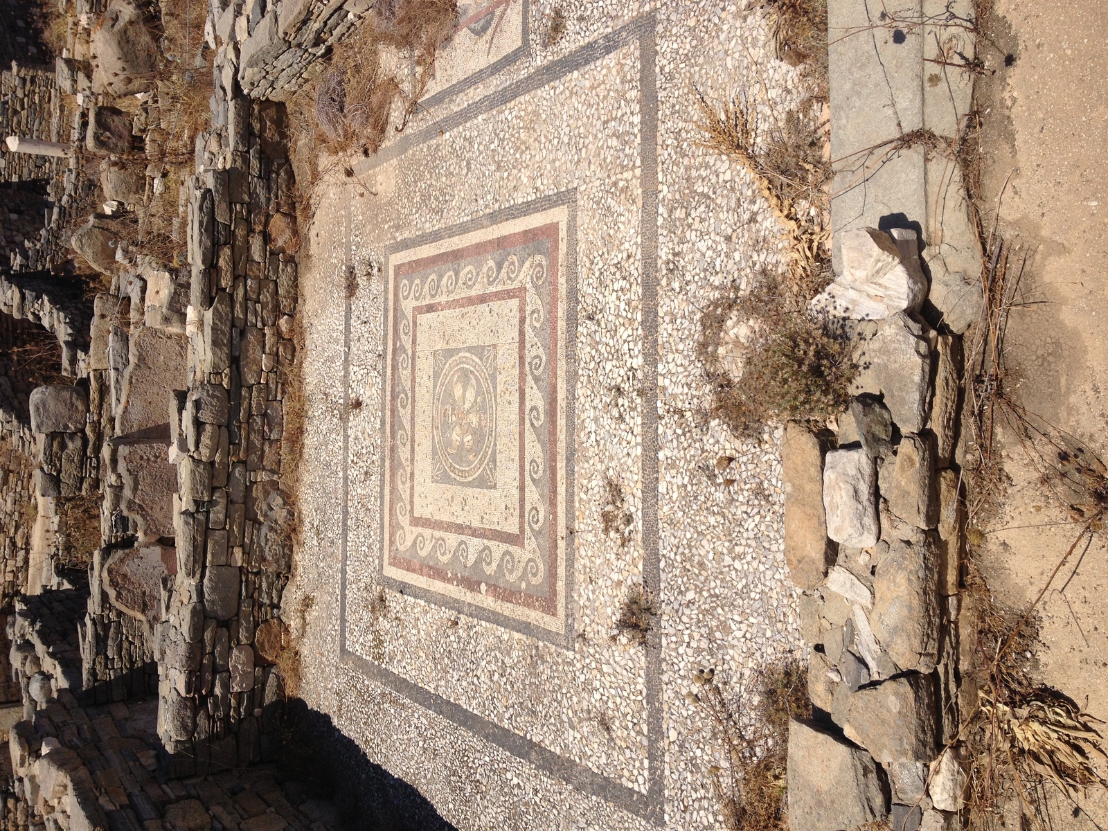รูปถ่าย กรีก(Greece) เกาะดีลอส(Delos) 2014-07 60
