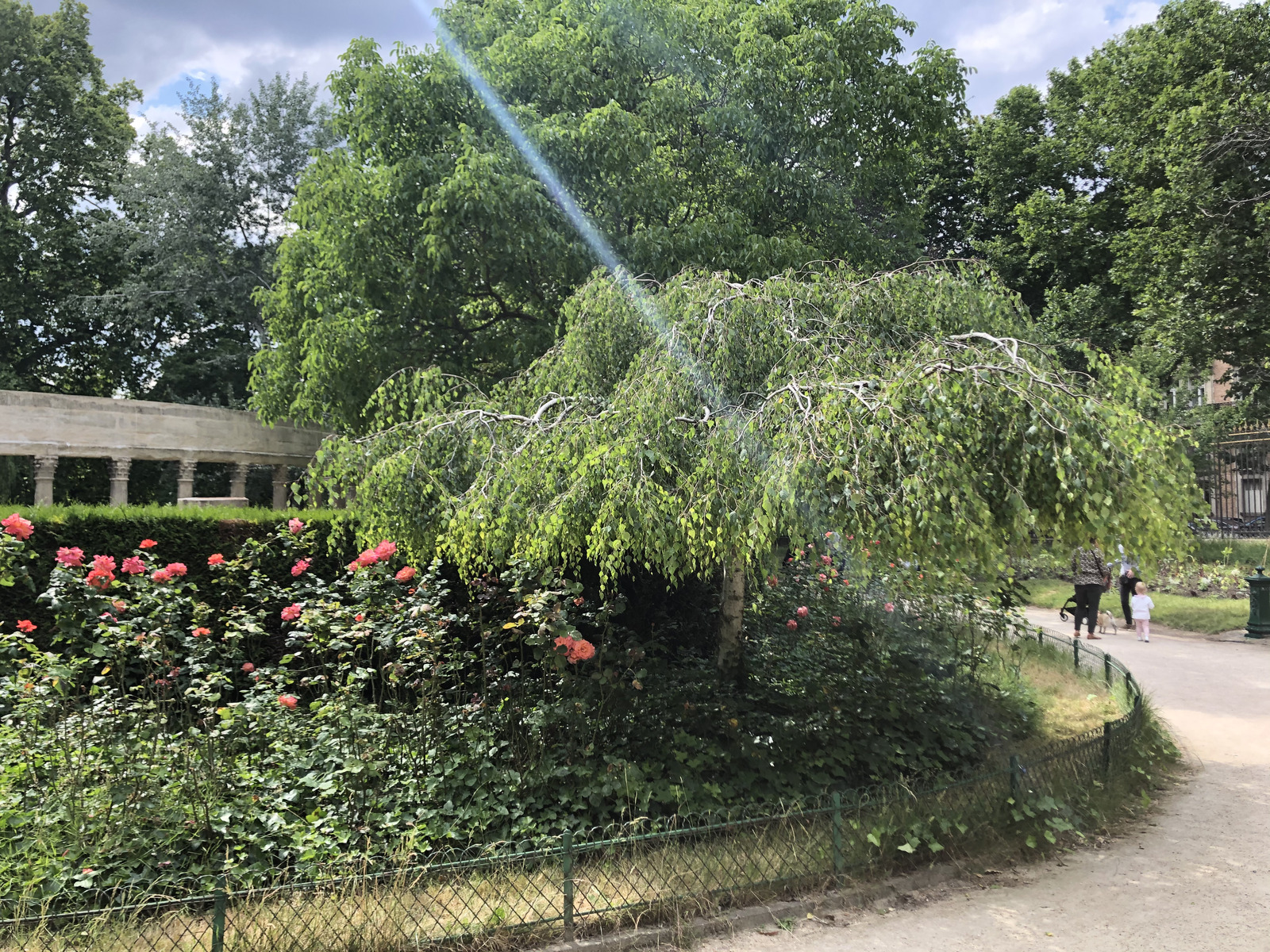 รูปถ่าย ฝรั่งเศส(France) ปารีส(Paris) สวนมงโซ(Monceau Garden) 2020-06 1