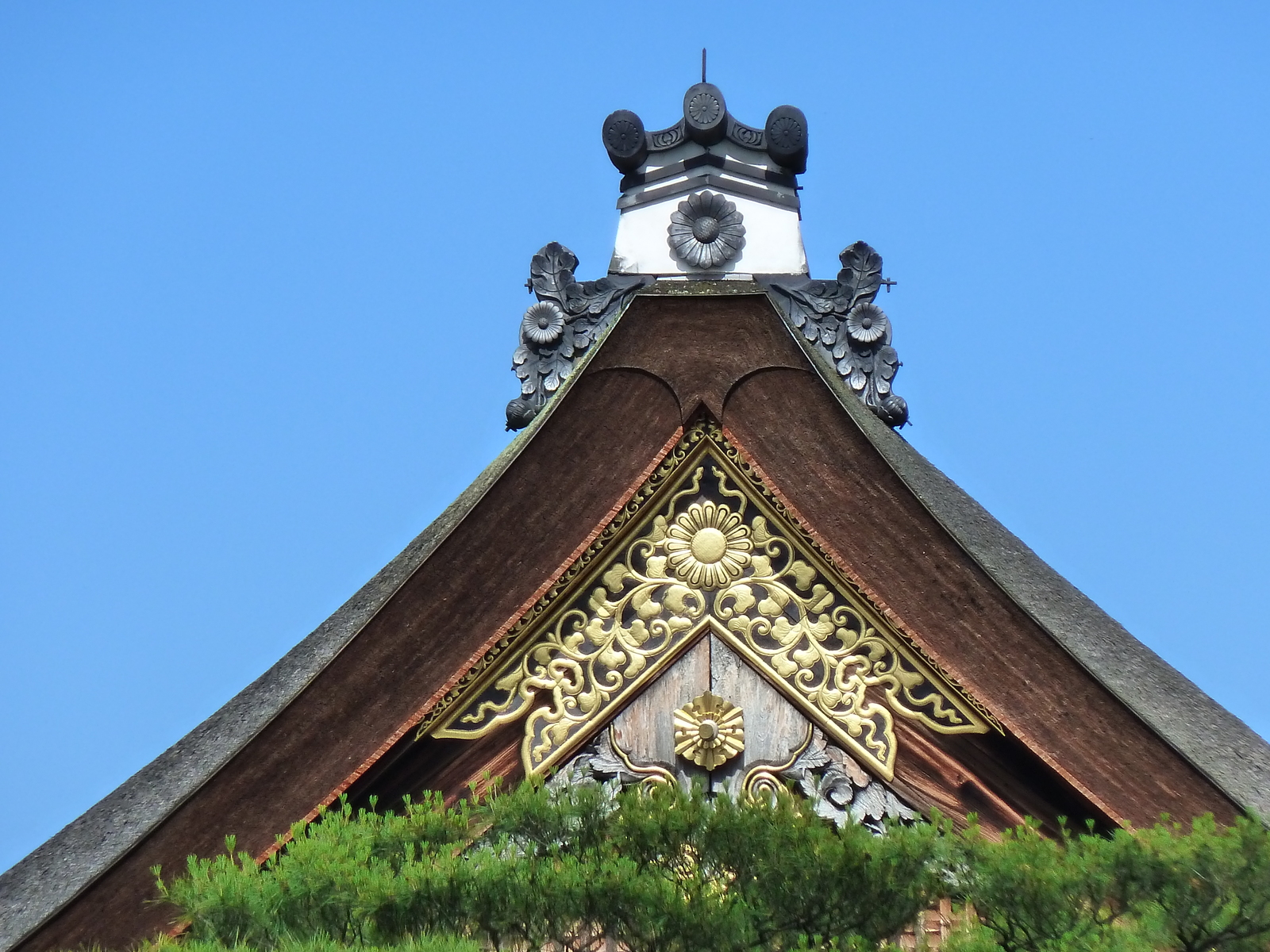รูปถ่าย ญี่ปุ่น(Japan) 2010-06 83