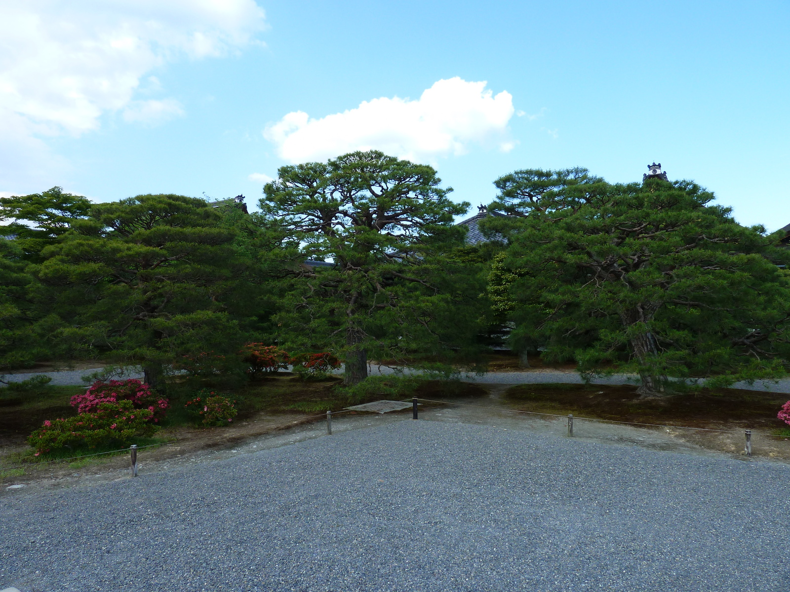 รูปถ่าย ญี่ปุ่น(Japan) เกียวโต(Kyoto) พระราชวังหลวงเกียวโต(Kyoto Imperial Palace) 2010-06 140