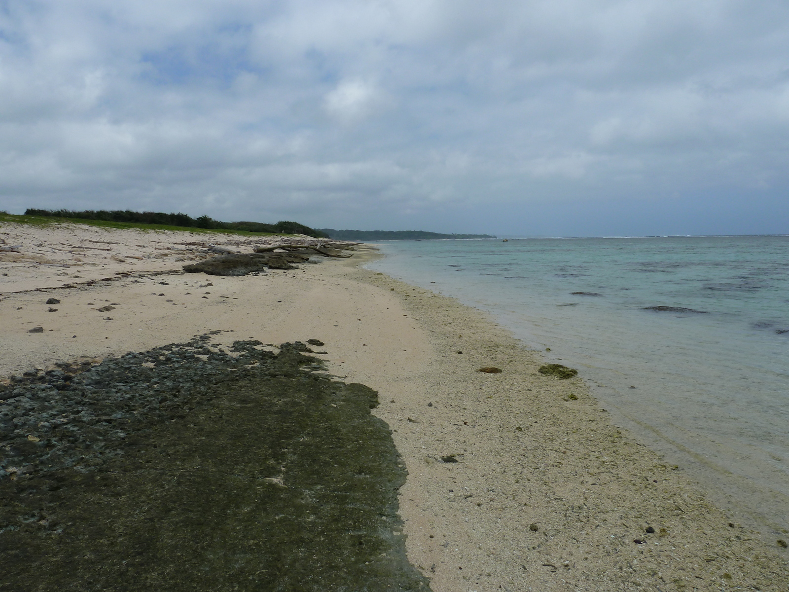 รูปถ่าย ฟิจิ(Fiji) ถนนจากนาดีไปนาตาโดลา(Nadi to Natadola road) 2010-05 98