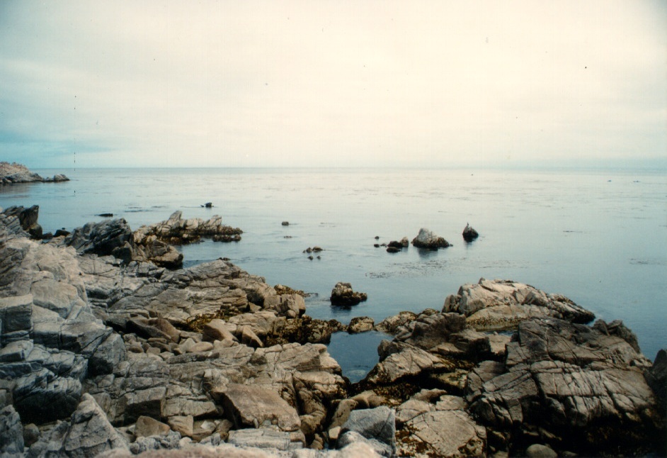 รูปถ่าย สหรัฐอเมริกา(United States) รัฐแคริฟอร์เนีย(California) 1992-08 11