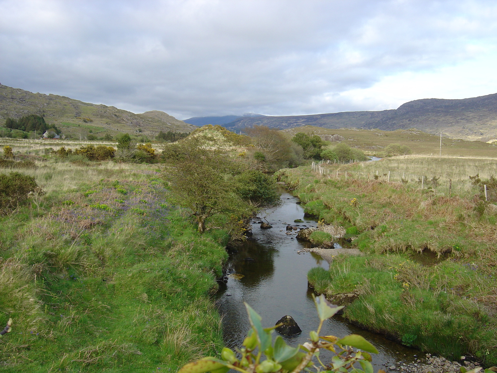รูปถ่าย ไอร์แลนด์(Ireland) เคอร์รี่(Kerry) สวนสาธารณะคิลลาร์นีย์เนชั่นเนล(Killarney National Park) 2004-05 9