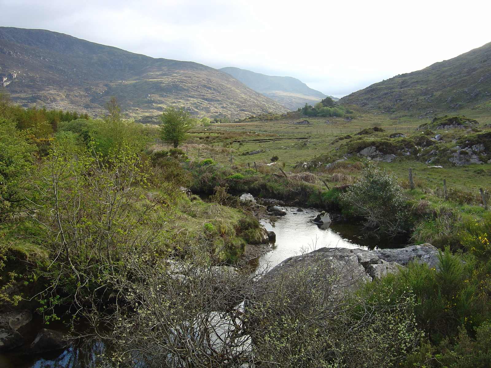 รูปถ่าย ไอร์แลนด์(Ireland) เคอร์รี่(Kerry) สวนสาธารณะคิลลาร์นีย์เนชั่นเนล(Killarney National Park) 2004-05 31