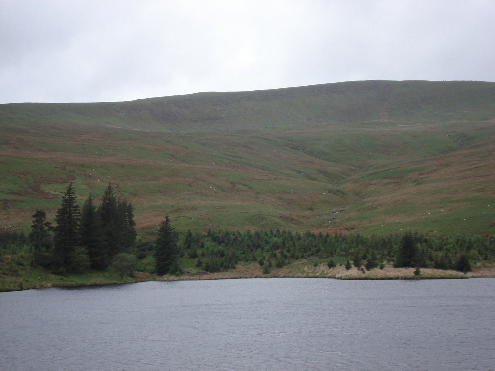 รูปถ่าย อังกฤษ(United Kingdom) อุทยานแห่งชาติเบรคอนบีคอนส์(Brecon Beacons National Park) 2006-05 76