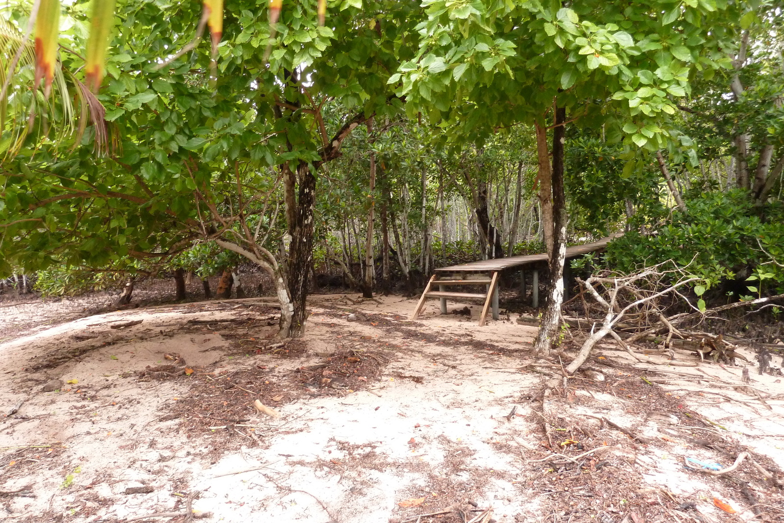 รูปถ่าย เซเชลส์(Seychelles) เกาะกูรีเยิซ(Curieuse) 2011-10 28