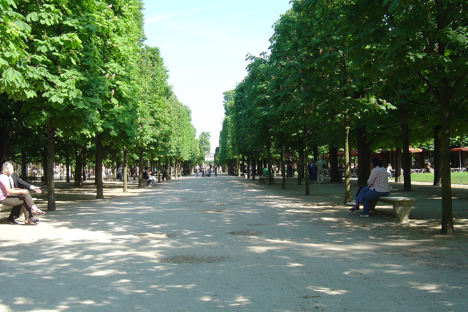 รูปถ่าย ฝรั่งเศส(France) ปารีส(Paris) สวนตุยเลอรี(Garden of Tuileries) 2007-05 36