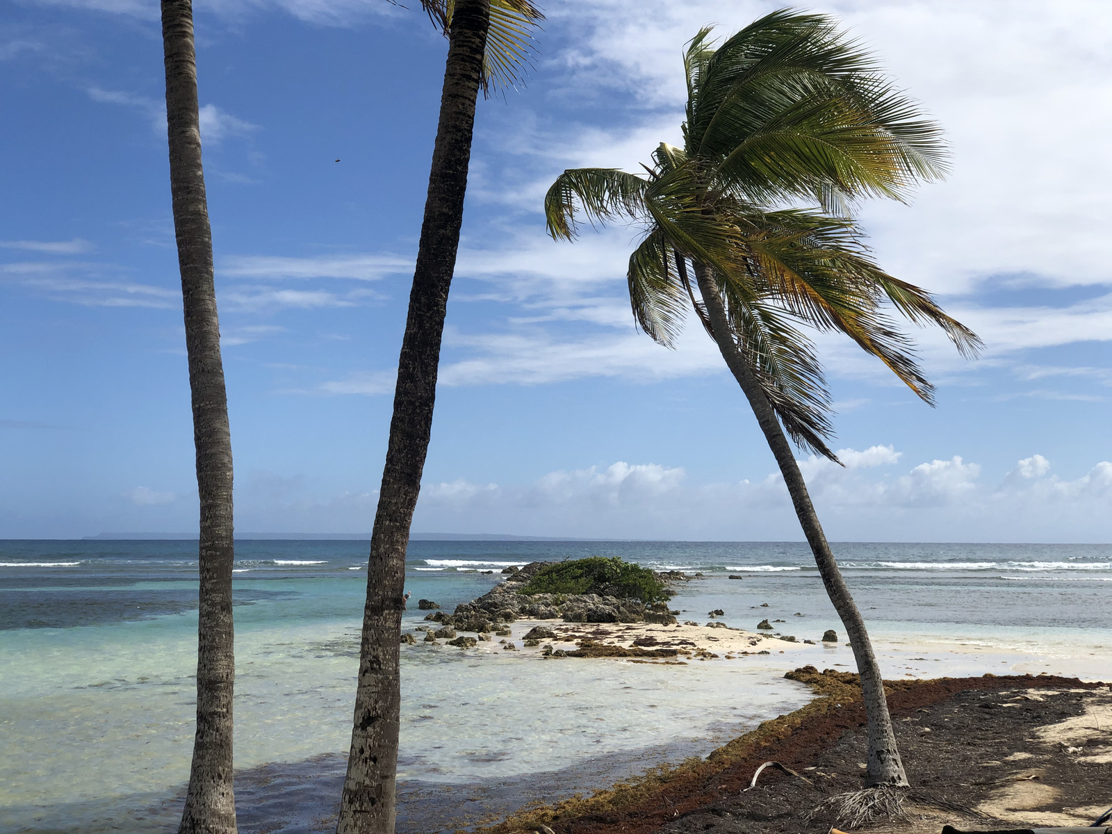 รูปถ่าย กวาเดอลูป(Guadeloupe) หาดลาการาแวล(La Caravelle Beach) 2021-02 65