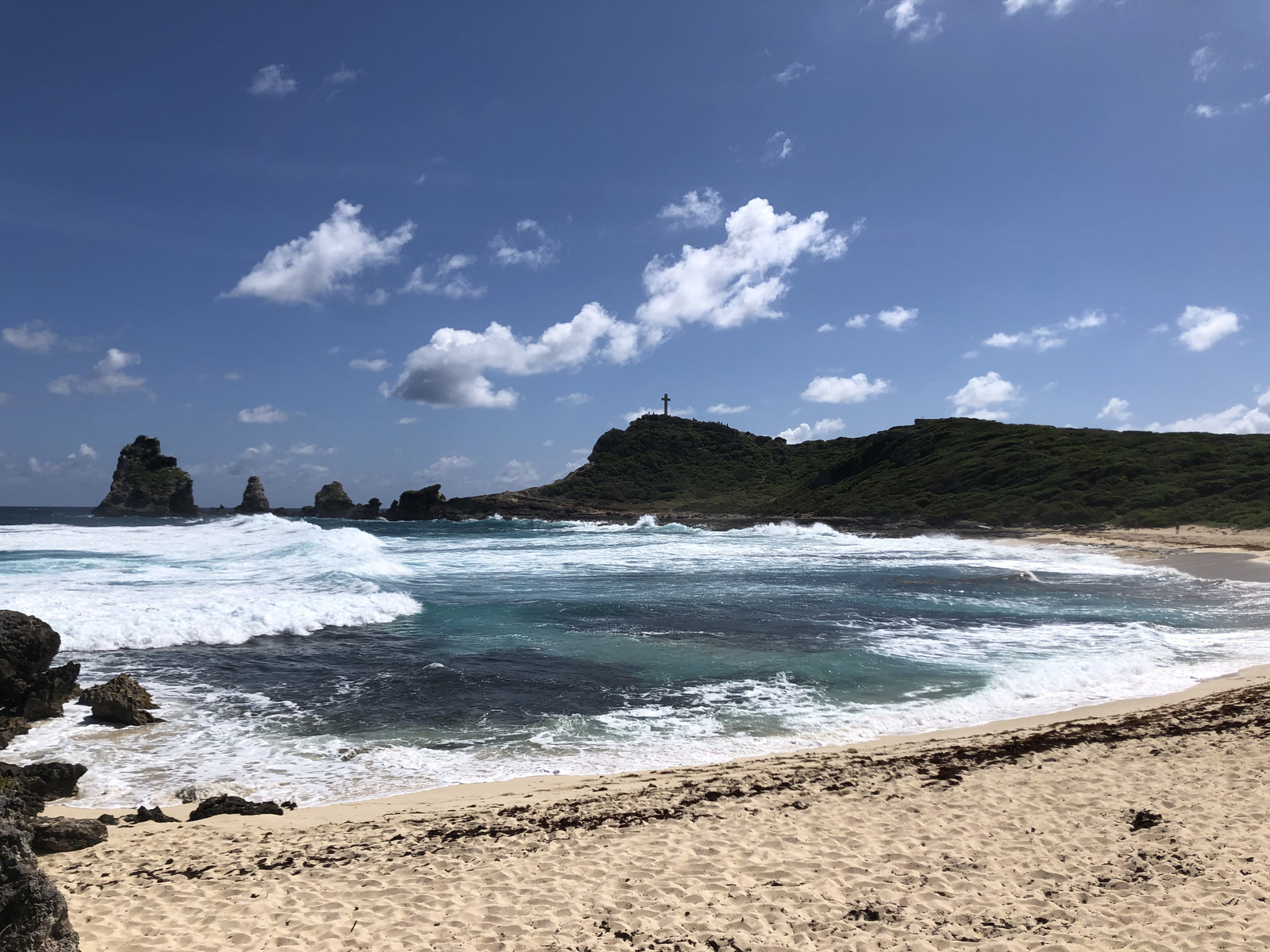 รูปถ่าย กวาเดอลูป(Guadeloupe) แหลมคาสเซิลพอยต์(Castle Point) 2021-02 129