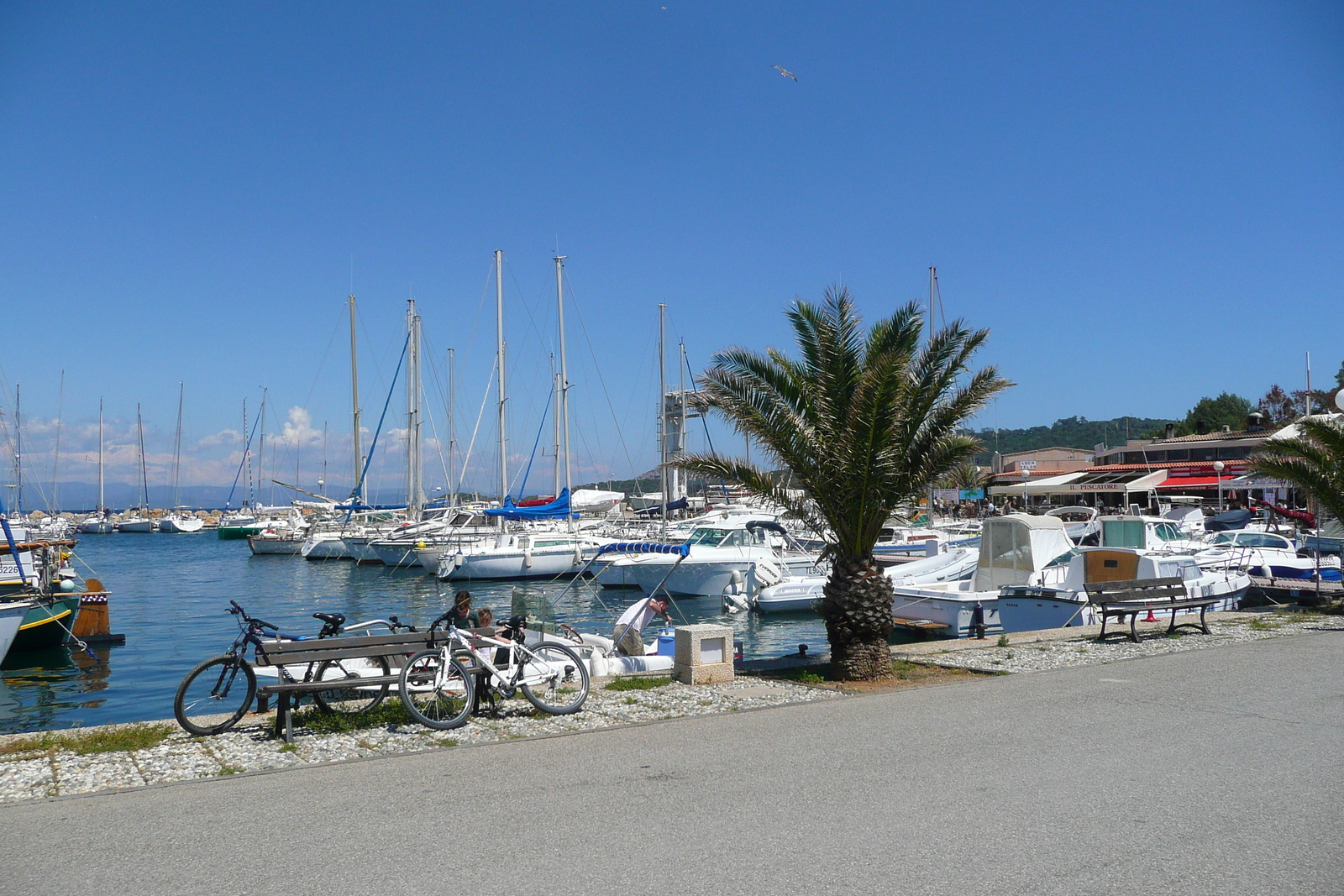 รูปถ่าย ฝรั่งเศส(France) เกาะปอร์เกอรอล(Porquerolles Island) ท่าเรือปอร์เกอรอล(Porquerolles harbour) 2008-05 11