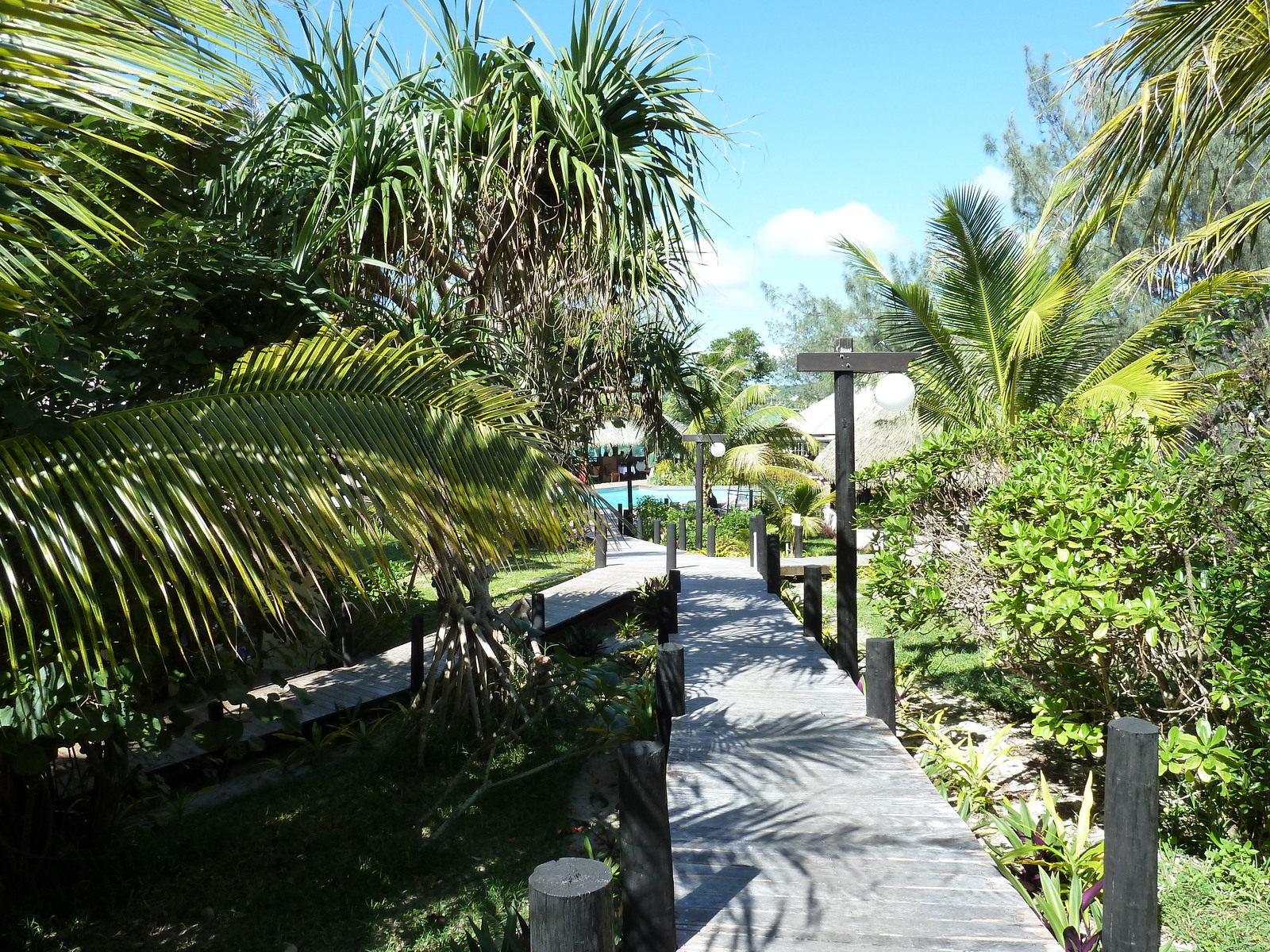 รูปถ่าย นิวแคลิโดเนีย(New Caledonia) เกาะลีฟู(Lifou) โรงแรมเดรฮูวิลเลจ(Drehu Village Hotel) 2010-05 87