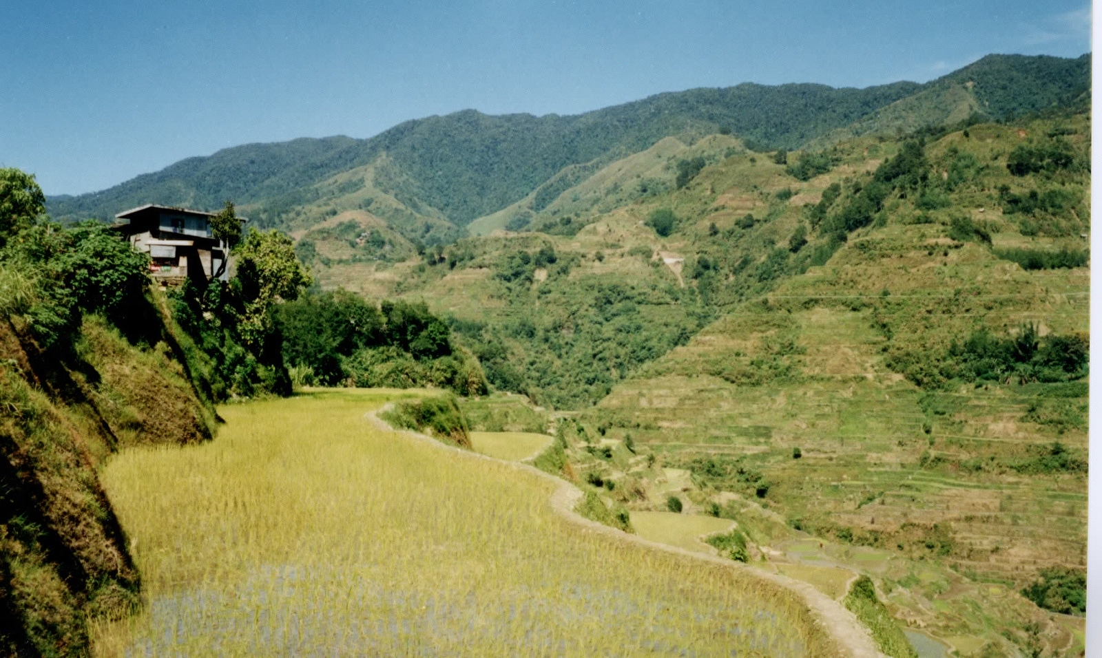 รูปถ่าย ฟิลิปปินส์(Philippines) บานาเวย์(Banaue) 1997-03 11