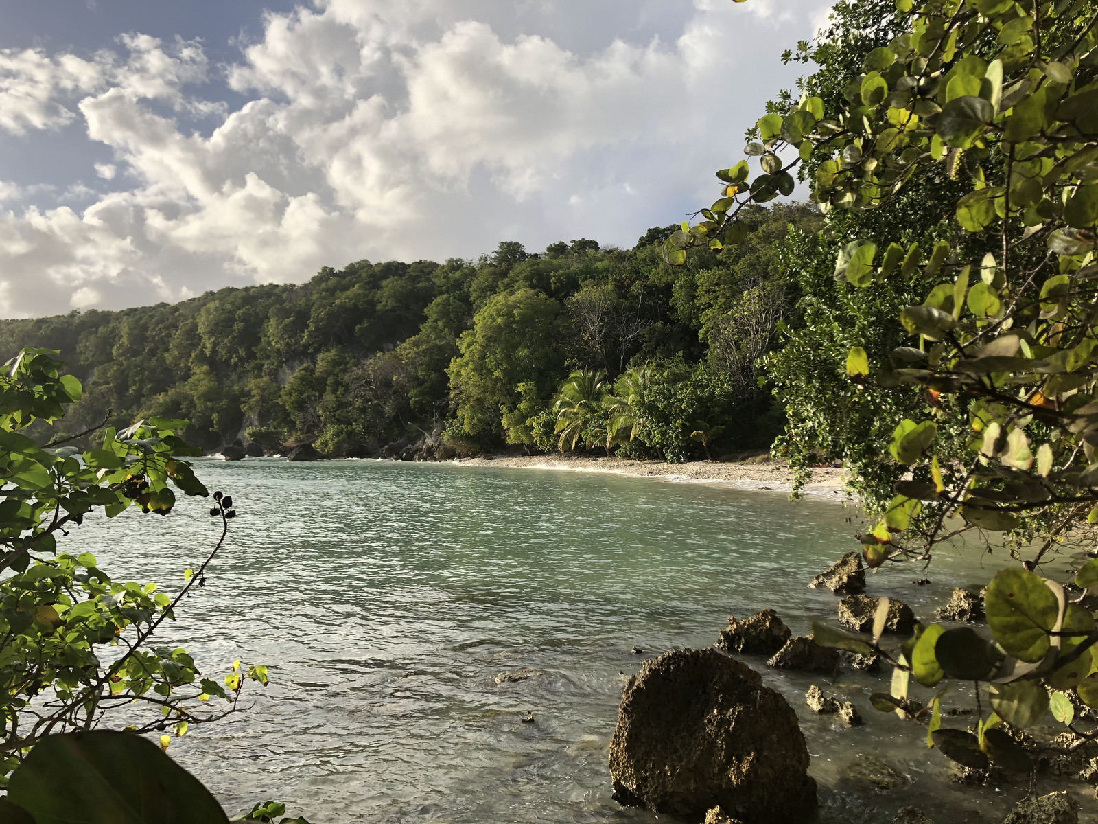 รูปถ่าย กวาเดอลูป(Guadeloupe) หาดปตีอาฟวร์(Petit Havre Beach) 2021-02 12