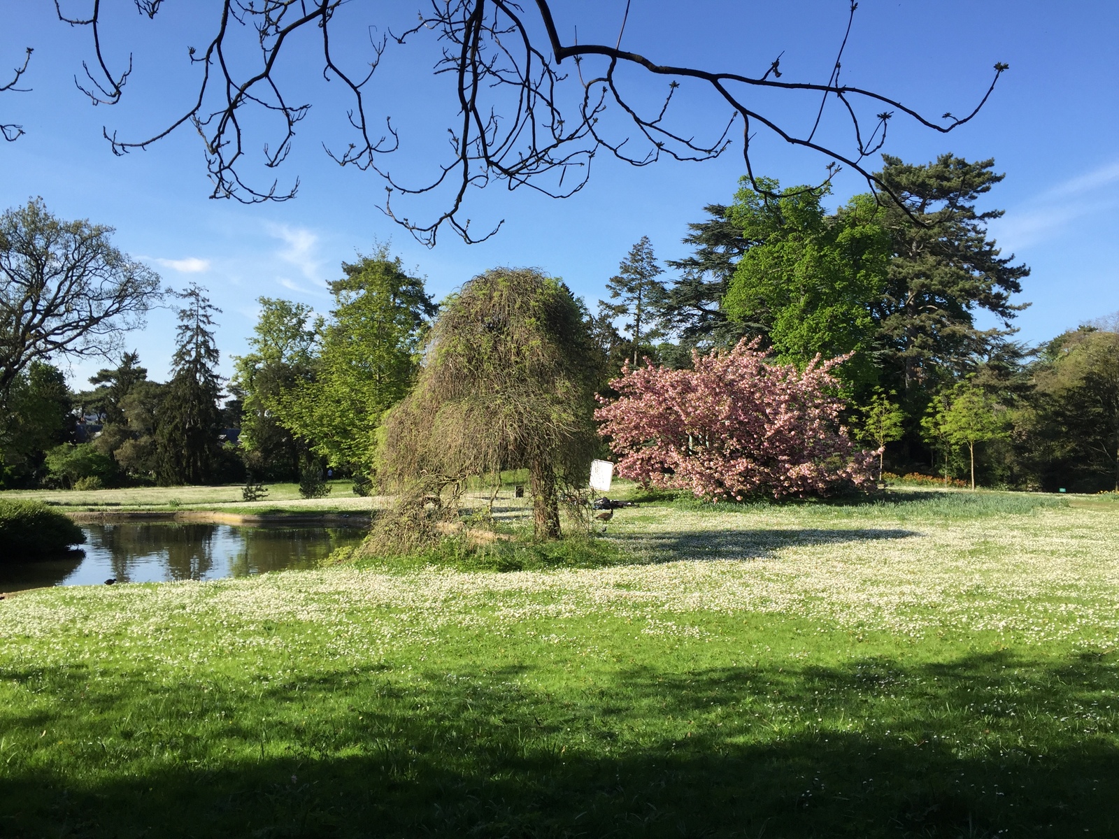 รูปถ่าย ฝรั่งเศส(France) ปารีส(Paris) บากาแตล(Bagatelles) 2017-04 11