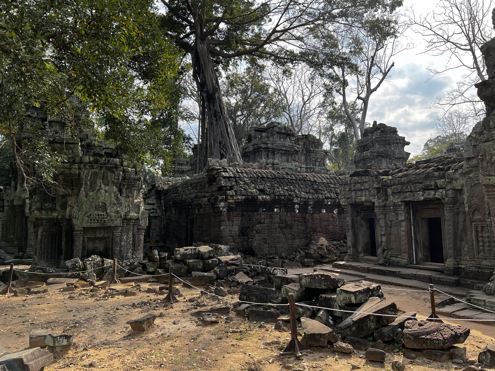 รูปถ่าย กัมพูชา(Cambodia) เสียมราฐ(Siem Reap) ปราสาทตาพรหม(Ta Prohm) 2023-01 16