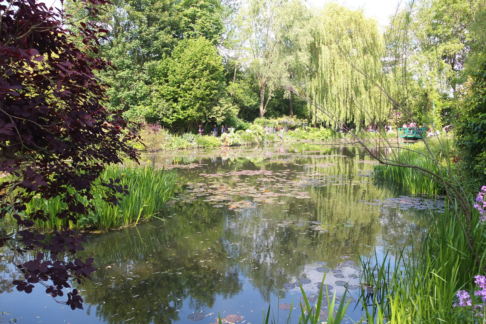รูปถ่าย ฝรั่งเศส(France) ฌีแวร์นี(Giverny) 2013-06 79