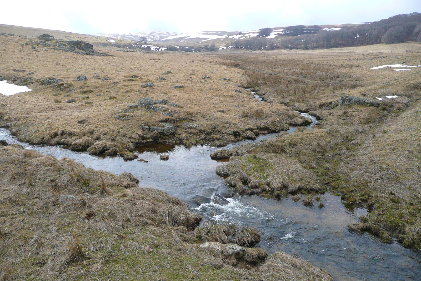 รูปถ่าย ฝรั่งเศส(France) โอบรัก(L'Aubrac) 2008-04 96