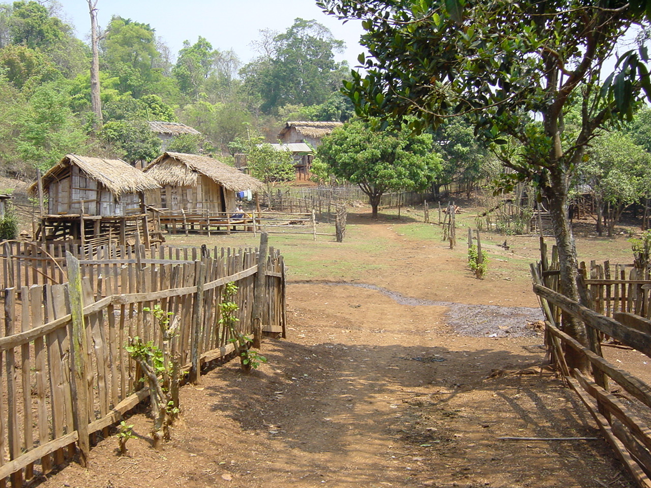 รูปถ่าย ไทย(Thailand) แม่ฮ่องสอน(Mae Hong Son) 2001-03 3