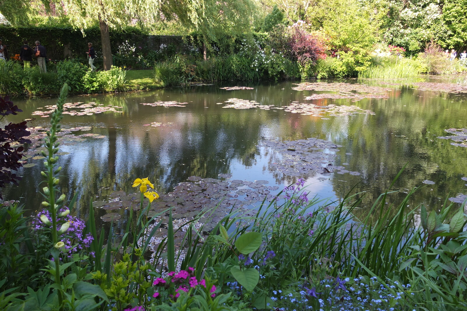 รูปถ่าย ฝรั่งเศส(France) ฌีแวร์นี(Giverny) 2013-06 108
