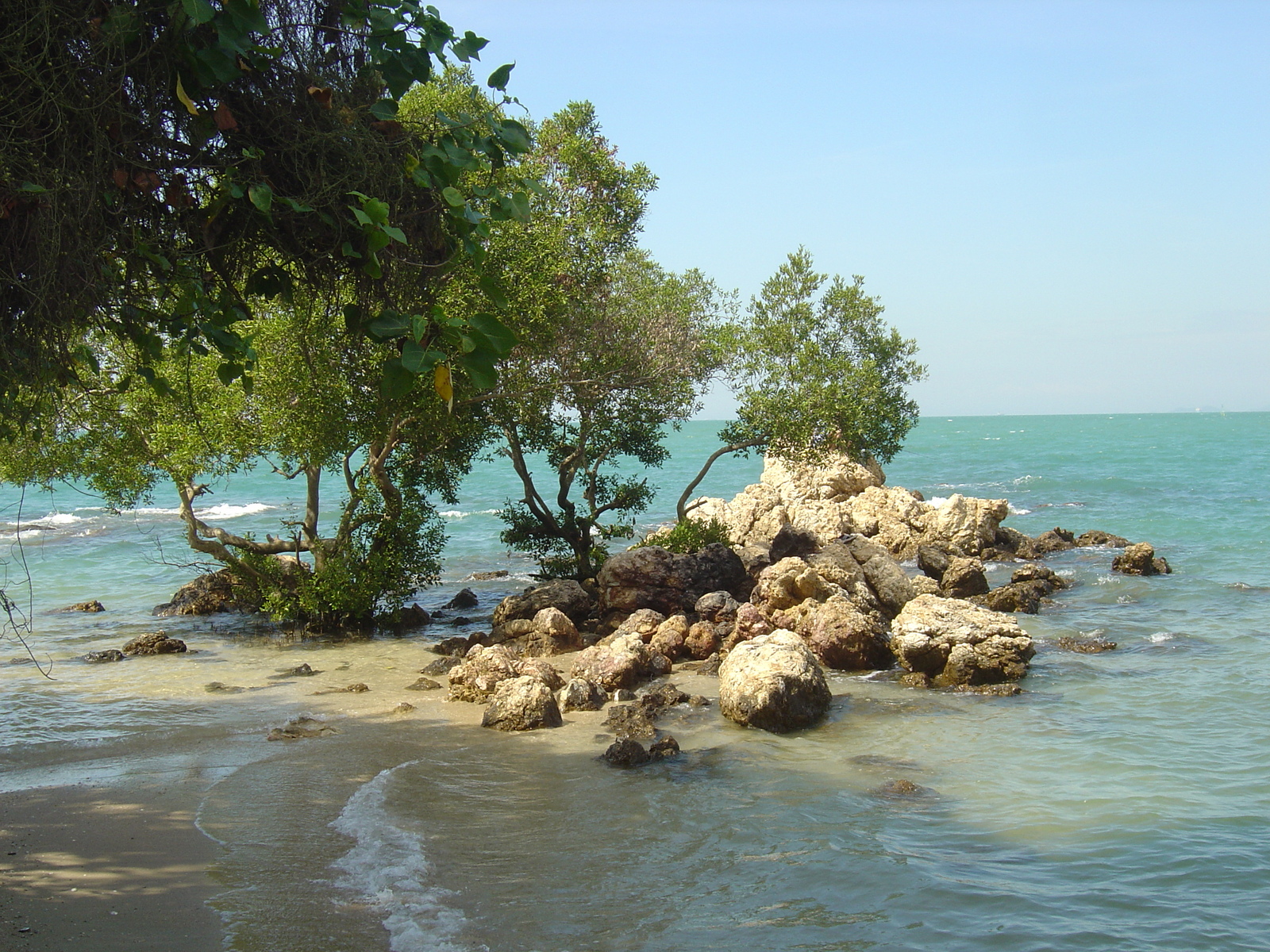 รูปถ่าย ไทย(Thailand) พัทยา(Pattaya) 2006-01 6