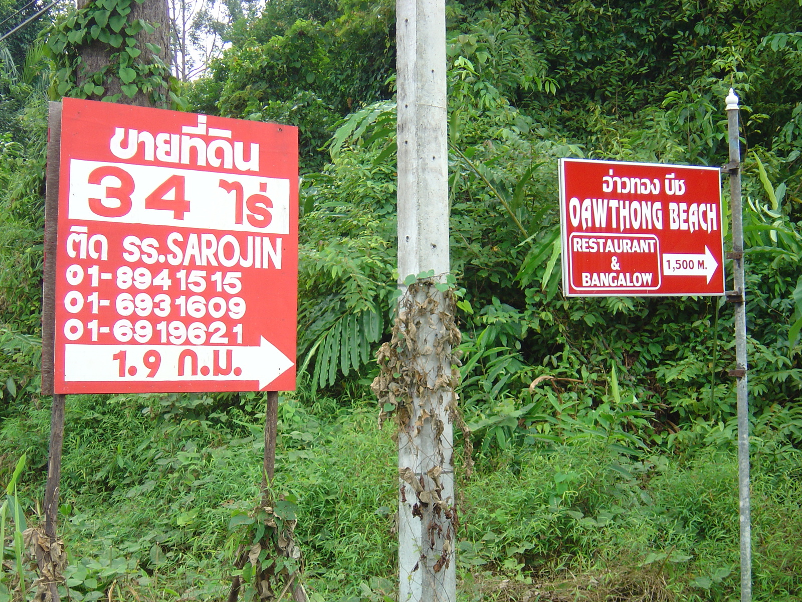 รูปถ่าย ไทย(Thailand) เขาหลัก(Khao Lak) 2005-12 35