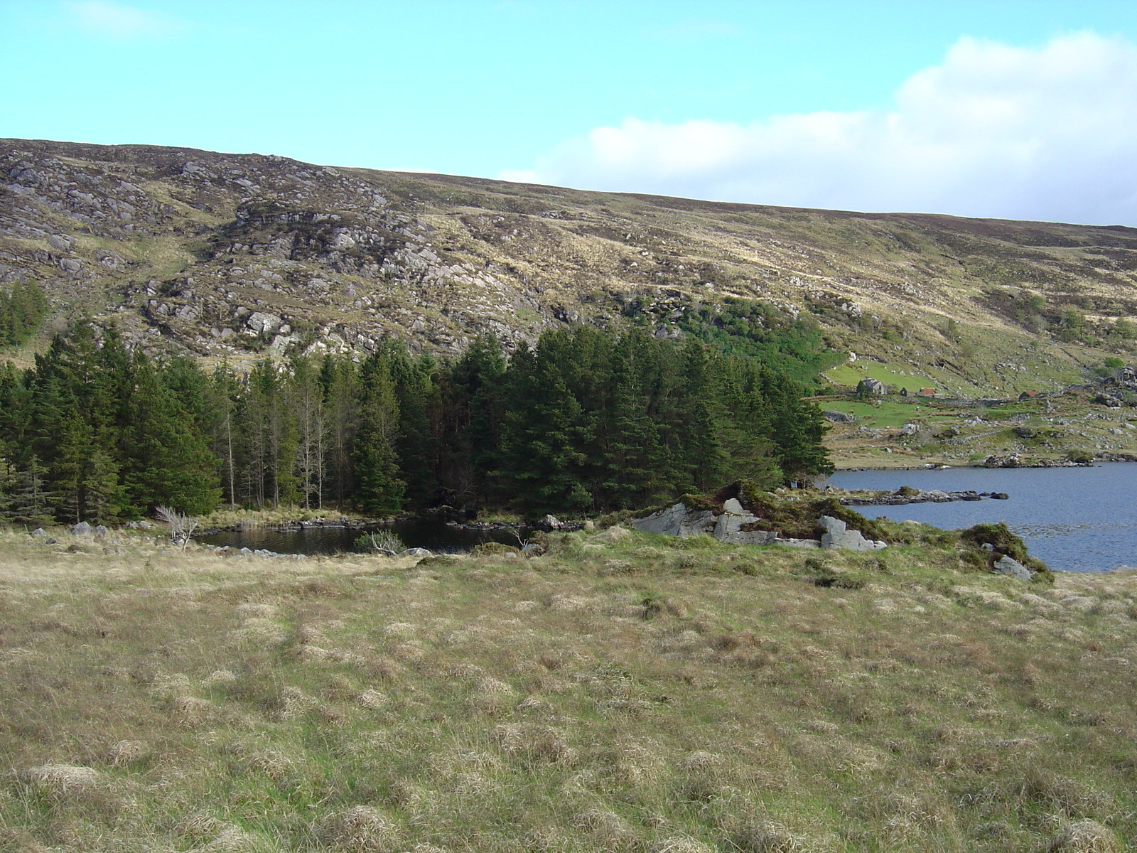 รูปถ่าย ไอร์แลนด์(Ireland) เคอร์รี่(Kerry) สวนสาธารณะคิลลาร์นีย์เนชั่นเนล(Killarney National Park) 2004-05 53