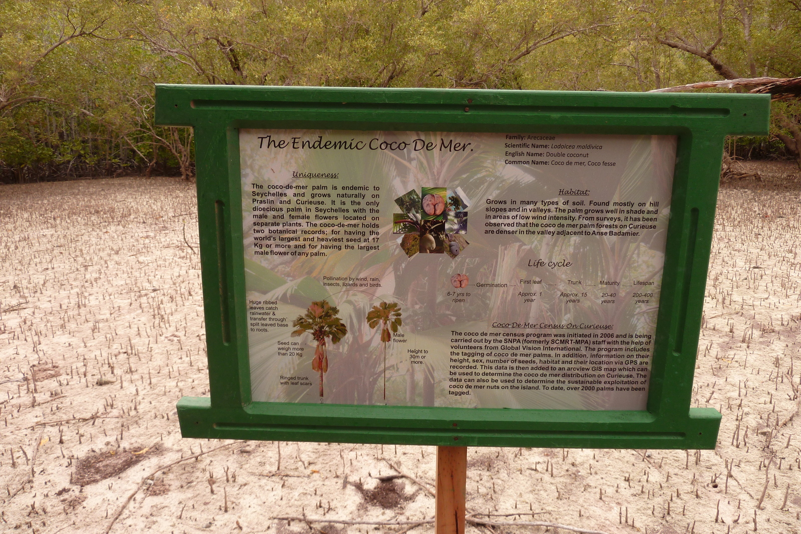 รูปถ่าย เซเชลส์(Seychelles) เกาะกูรีเยิซ(Curieuse) 2011-10 3
