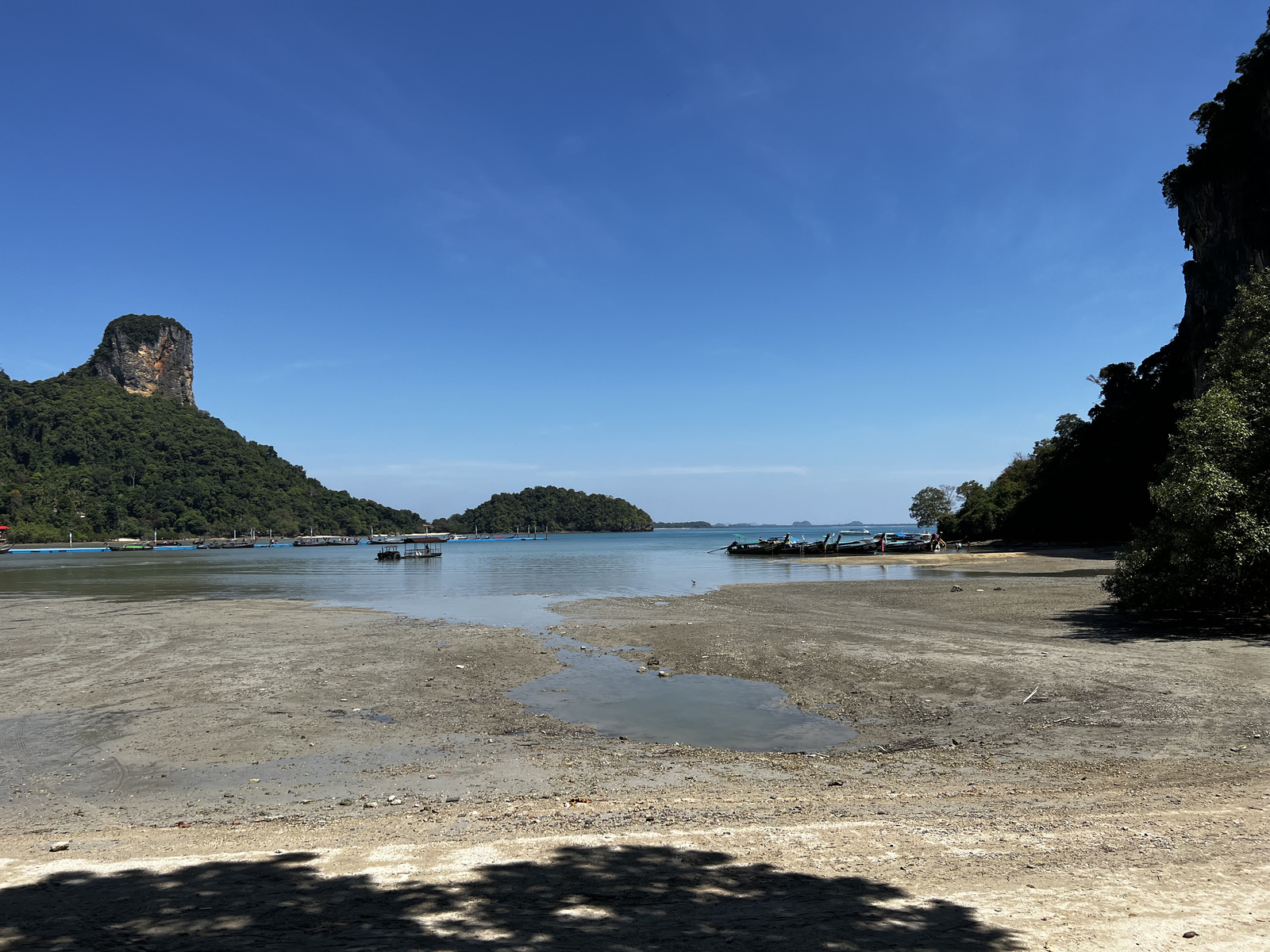 รูปถ่าย ไทย(Thailand) กระบี่(Krabi) 2023-01 346