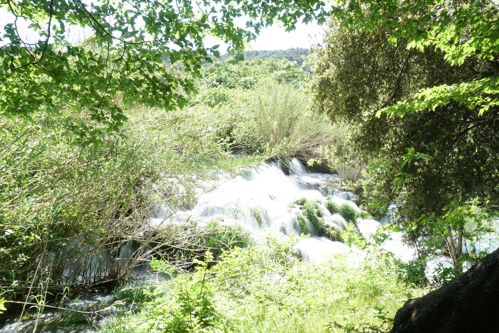 รูปถ่าย โครเอเชีย(Croatia) อุทยานแห่งชาติเคอร์คา(Krka National Park) 2016-04 113