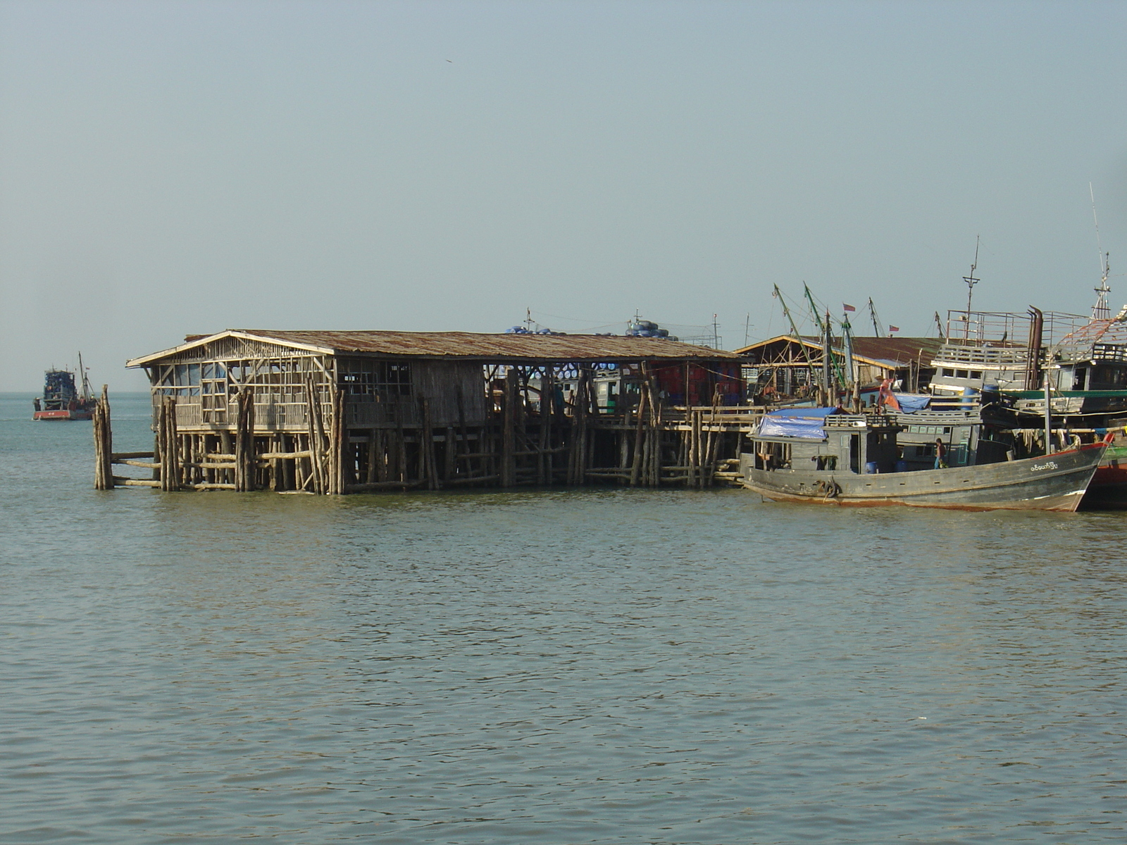 รูปถ่าย พม่า(Myanmar) มะริด(Myeik (Mergui)) 2005-01 172