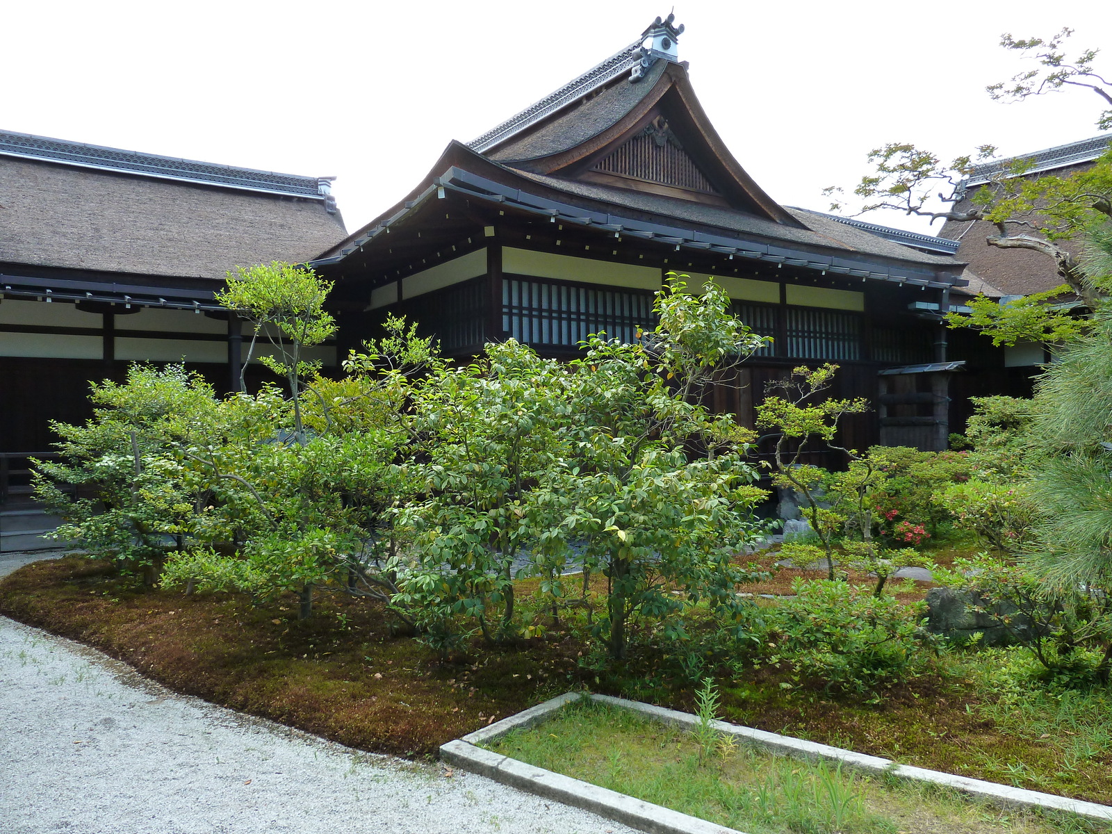 รูปถ่าย ญี่ปุ่น(Japan) เกียวโต(Kyoto) พระราชวังหลวงเกียวโต(Kyoto Imperial Palace) 2010-06 58