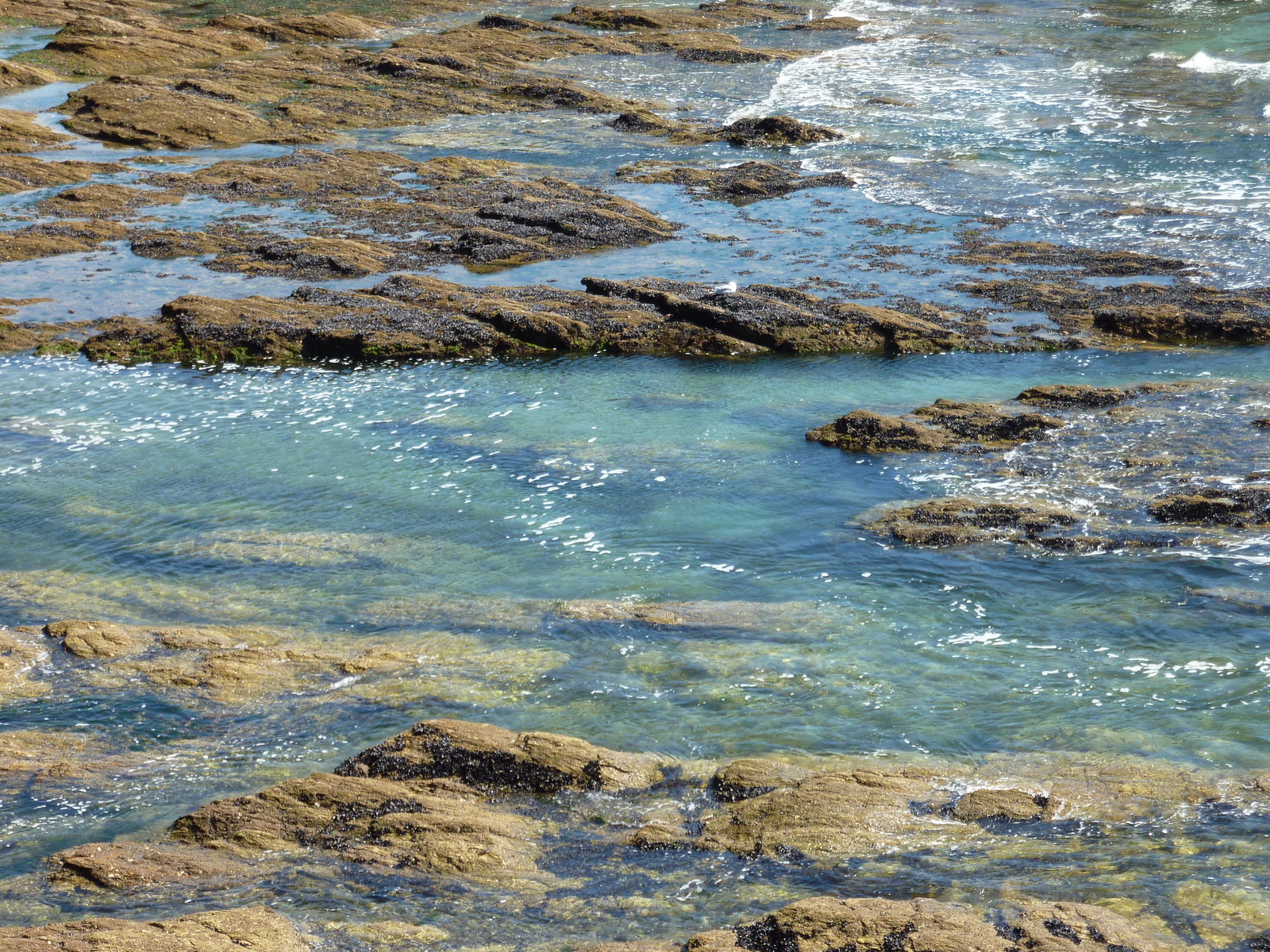รูปถ่าย ฝรั่งเศส(France) ปีรียัก-ซูร์-แมร์(Piriac sur mer) 2009-08 4