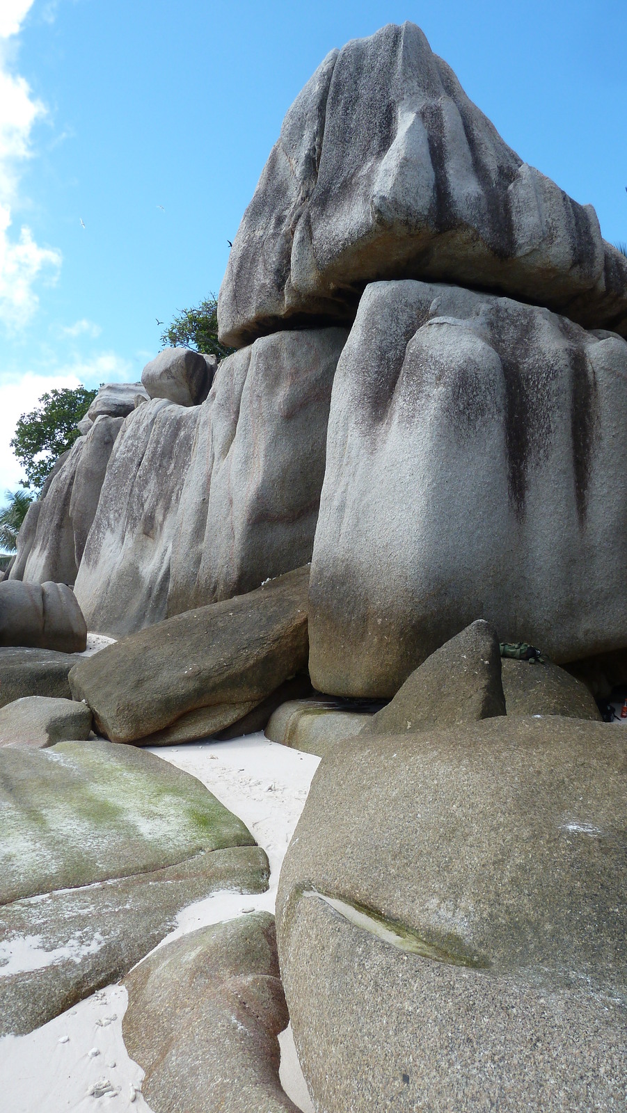 รูปถ่าย เซเชลส์(Seychelles) เกาะโกโก้(Coco Island) 2011-10 80